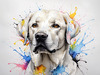 Abstract Sketch of Labrador Retriever with Attentive Eyes