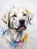 Abstract Sketch of Labrador Retriever with Attentive Eyes