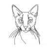 Minimalist Line Art of Playful Abyssinian Cat with Alert Expression