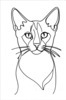 Minimalist Line Art of Playful Abyssinian Cat with Alert Expression