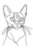 Minimalist Line Art of Playful Abyssinian Cat with Alert Expression
