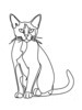 Minimalist Line Art of Playful Abyssinian Cat with Alert Expression