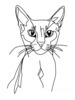 Minimalist Line Art of Playful Abyssinian Cat with Alert Expression