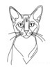 Minimalist Line Art of Playful Abyssinian Cat with Alert Expression