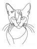 Minimalist Line Art of Playful Abyssinian Cat with Alert Expression