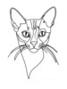 Minimalist Line Art of Playful Abyssinian Cat with Alert Expression