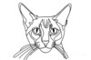 Minimalist Line Art of Playful Abyssinian Cat with Alert Expression