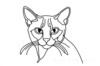 Minimalist Line Art of Playful Abyssinian Cat with Alert Expression
