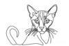 Minimalist Line Art of Playful Abyssinian Cat with Alert Expression