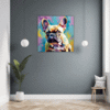 Adorable French Bulldog Hallway Demo