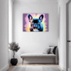 Adorable French Bulldog Hallway Demo