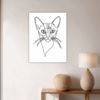 Alert Abyssinian Cat Hallway Demo