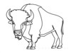 Minimalist Arc Depicting American Bison Hump and Horn