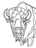 Minimalist Arc Depicting American Bison Hump and Horn