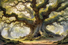 Realistic Landscape Art Print of Ancient Oak Woods