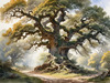 Realistic Landscape Art Print of Ancient Oak Woods