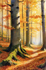 Printable Art of Beech Forest in Autumn with Golden Leaves
