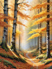 Printable Art of Beech Forest in Autumn with Golden Leaves
