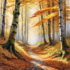 Printable Art of Beech Forest in Autumn with Golden Leaves