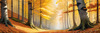 Printable Art of Beech Forest in Autumn with Golden Leaves