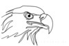 Minimalist Single Line Art of Bald Eagle Beak and Eye