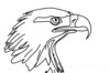 Minimalist Single Line Art of Bald Eagle Beak and Eye