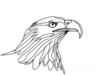 Minimalist Single Line Art of Bald Eagle Beak and Eye