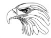 Minimalist Single Line Art of Bald Eagle Beak and Eye