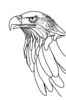 Minimalist Single Line Art of Bald Eagle Beak and Eye