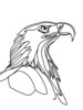 Minimalist Single Line Art of Bald Eagle Beak and Eye