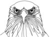 Minimalist Single Line Art of Bald Eagle Beak and Eye