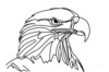 Minimalist Single Line Art of Bald Eagle Beak and Eye