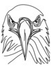 Minimalist Single Line Art of Bald Eagle Beak and Eye