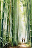 Realistic Bamboo Grove With Wind Rustling Printable Art