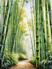 Realistic Bamboo Grove With Wind Rustling Printable Art