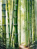 Realistic Bamboo Grove With Wind Rustling Printable Art