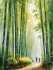 Realistic Bamboo Grove With Wind Rustling Printable Art
