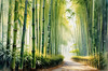 Realistic Bamboo Grove With Wind Rustling Printable Art