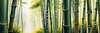 Realistic Bamboo Grove With Wind Rustling Printable Art