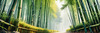 Realistic Bamboo Grove With Wind Rustling Printable Art