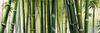 Realistic Bamboo Grove With Wind Rustling Printable Art