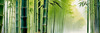 Realistic Bamboo Grove With Wind Rustling Printable Art