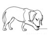 Minimalist Line Art of a Beagle Following a Scent