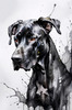Abstract Black Great Dane Sketch Art