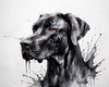 Abstract Black Great Dane Sketch Art