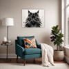 Black Maine Coon Living Room Demo
