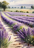 Serene Lavender Field Swaying in Breeze with Pastel Sky Landscape Print