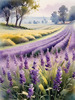 Serene Lavender Field Swaying in Breeze with Pastel Sky Landscape Print