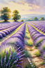 Serene Lavender Field Swaying in Breeze with Pastel Sky Landscape Print