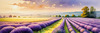 Serene Lavender Field Swaying in Breeze with Pastel Sky Landscape Print